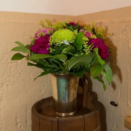 Karin Appartement